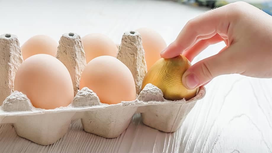 Eggflation and Protein Alternatives: Navigating Rising Costs and Nutritional Diversity