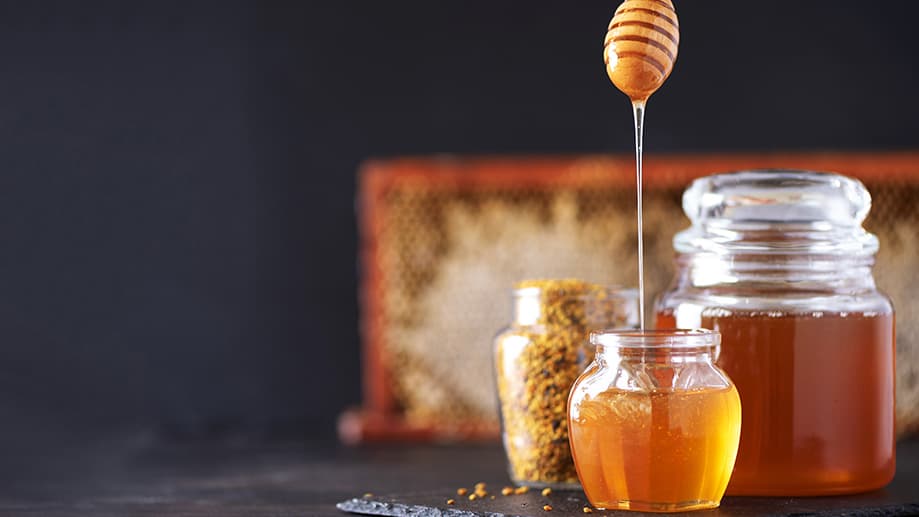Exploring Honey Colony: A Hub for Health, Sustainability, and Wellness